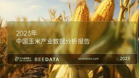 2023年中国玉米产业分析简报