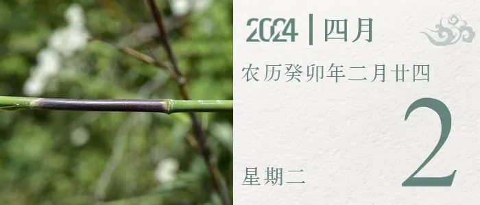 廉政明德苑清风箴言严防扰民式下乡