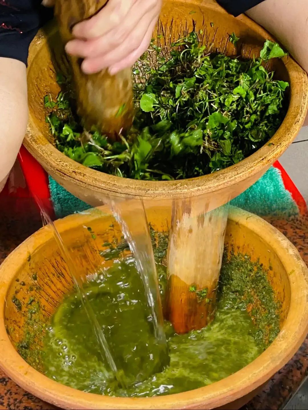 老耳水是东莞一款本土凉茶,用料就是大家常看到的积雪草,东莞人也称作