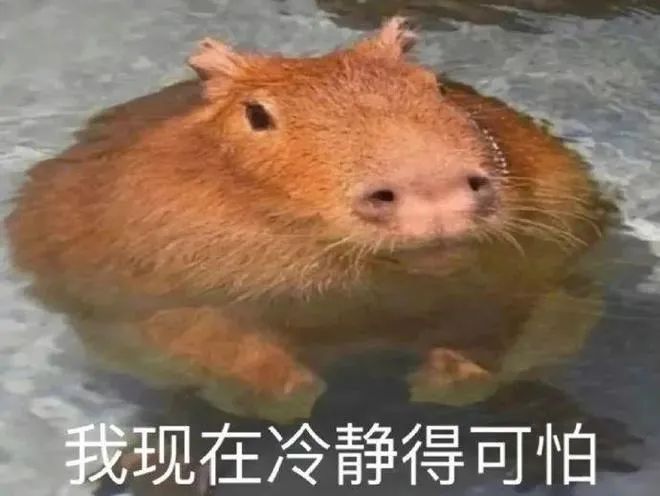 "souls of serene" has become a new social persona…_澎湃号·政务