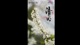 清明時(shí)節(jié)，慎終追遠(yuǎn)，且惜春光，愿故人無恙，愿國(guó)泰民安！