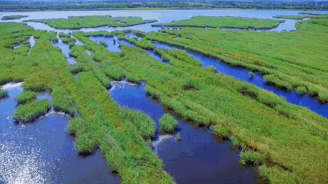 期待七里海将新开一景区五一前营业可观鸟垂钓体验种植