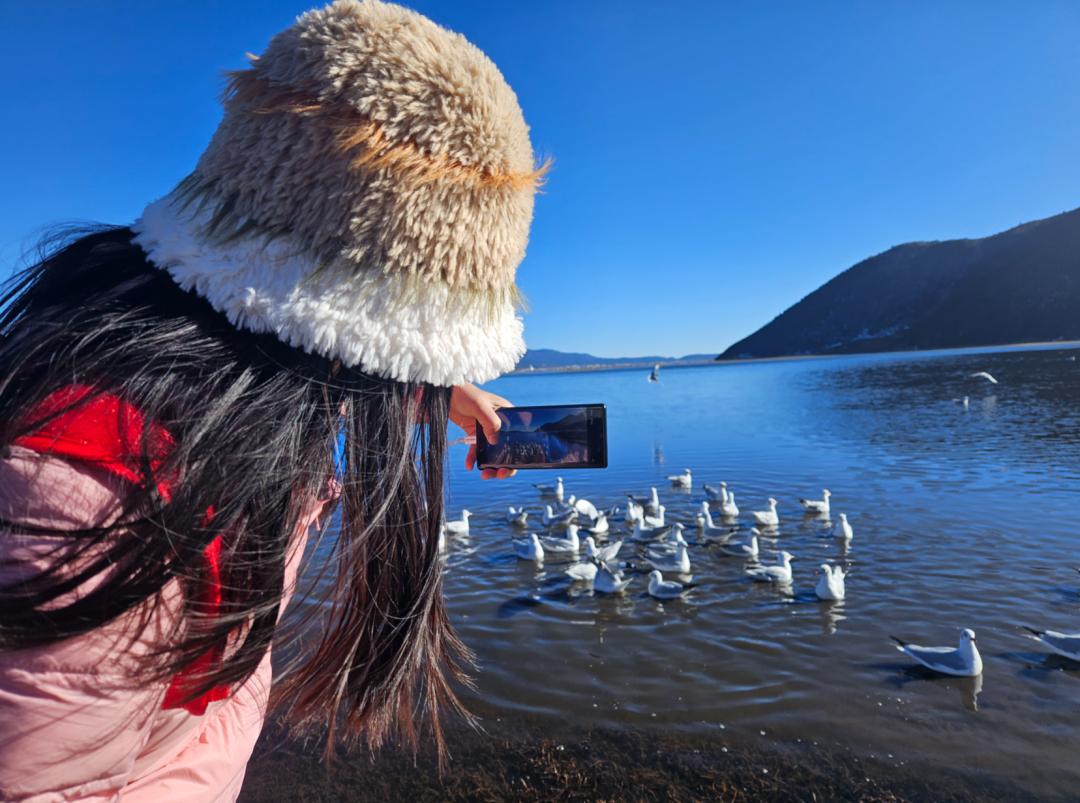 看建塘镇解放村的"致富经"_澎湃号·政务_澎湃新闻-the paper