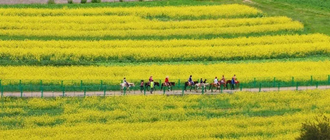 看建塘镇解放村的"致富经"_澎湃号·政务_澎湃新闻-the paper