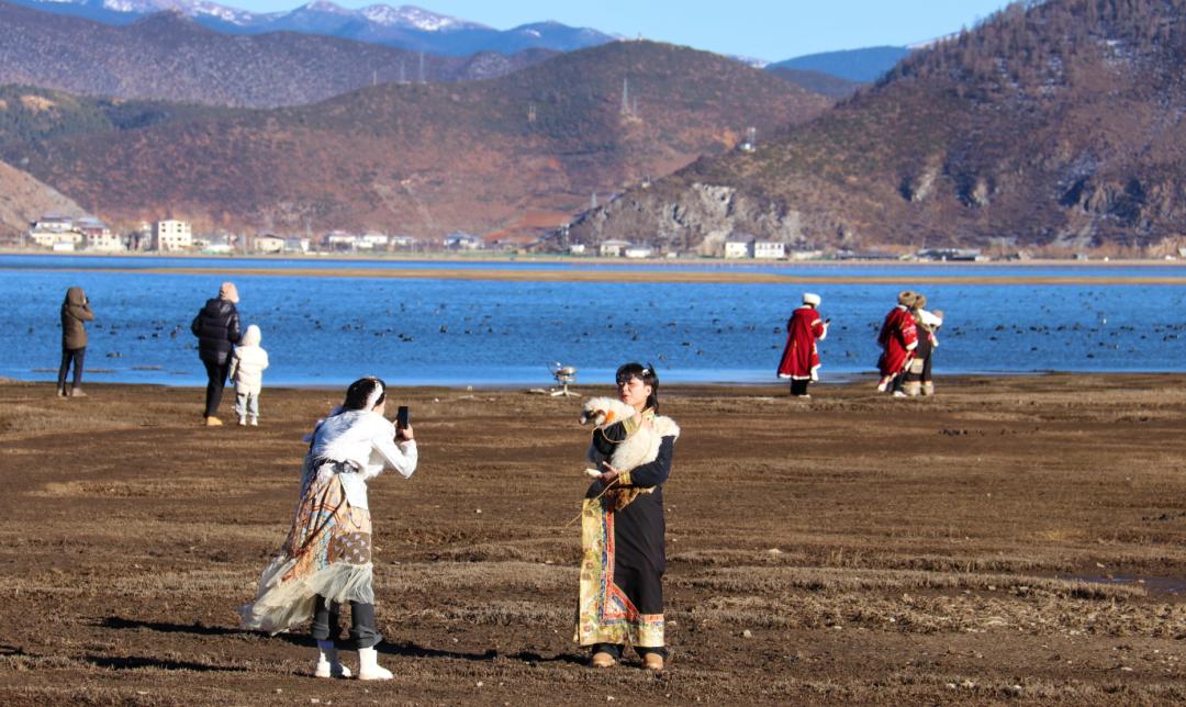 看建塘镇解放村的"致富经"_澎湃号·政务_澎湃新闻-the paper