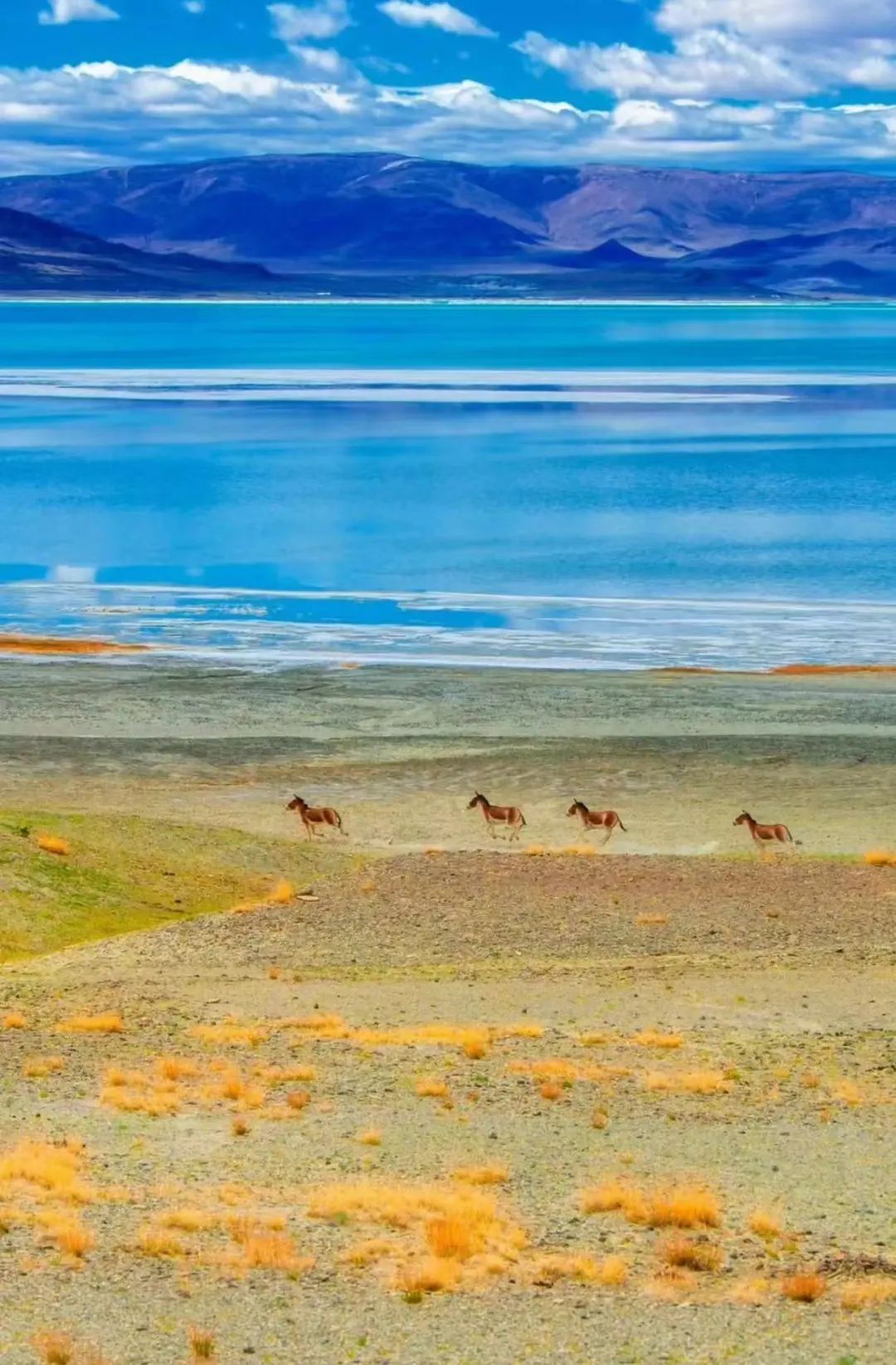 忽然,想去青海了