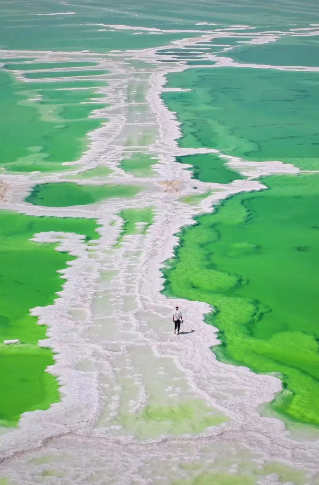 忽然,想去青海了_澎湃号·湃客_澎湃新闻-the paper