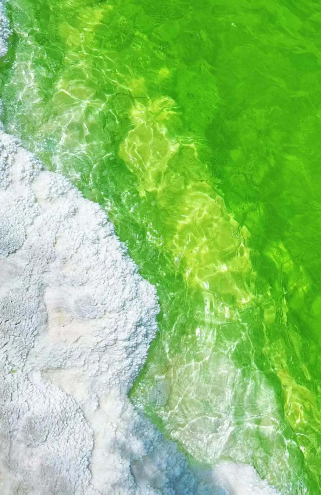 忽然,想去青海了_澎湃号·湃客_澎湃新闻-the paper