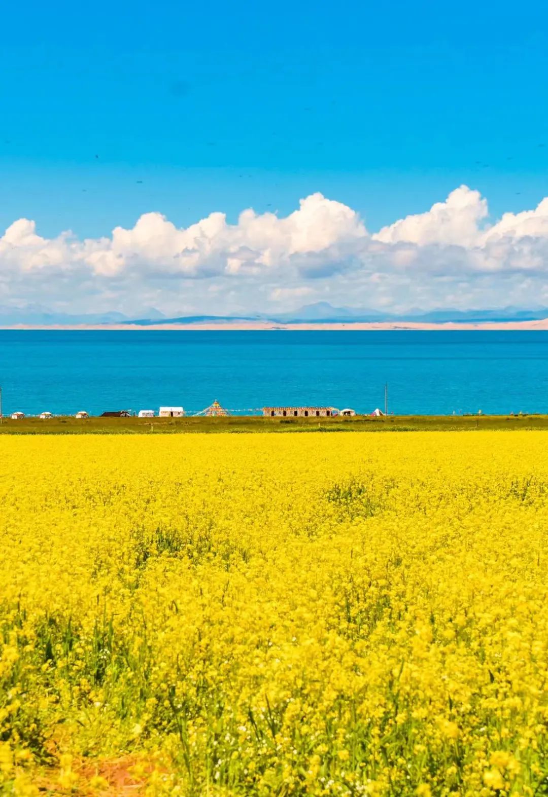 忽然,想去青海了_澎湃号·湃客_澎湃新闻-the paper