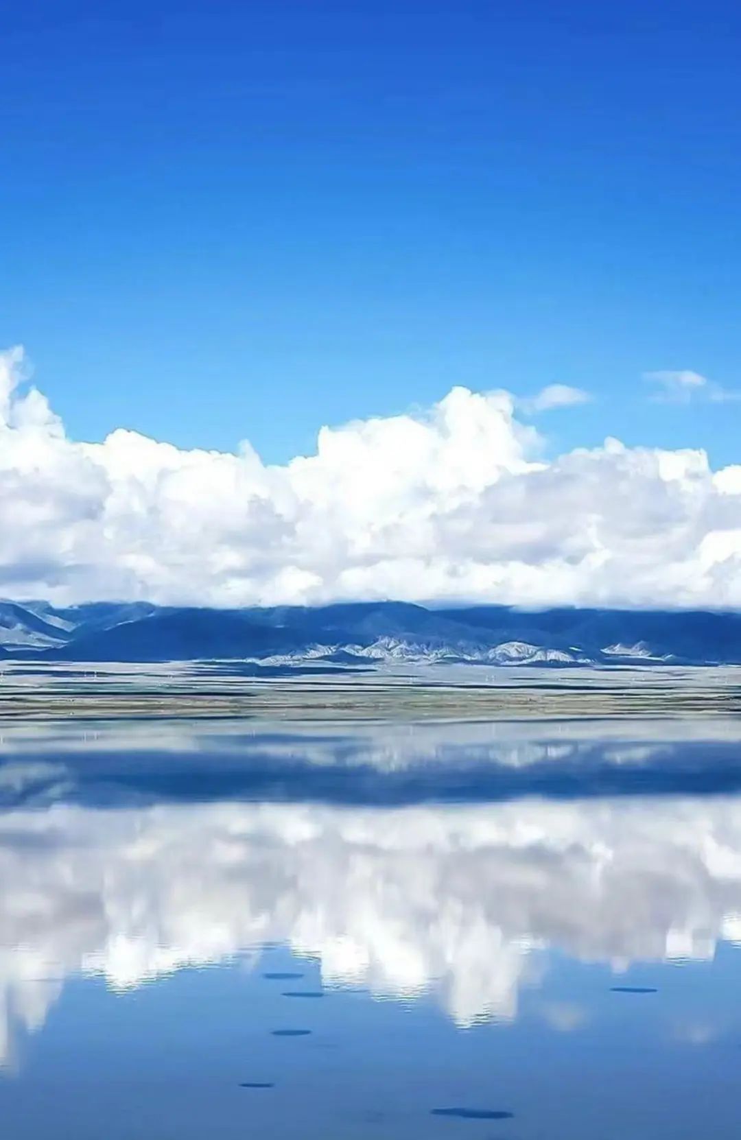 忽然,想去青海了