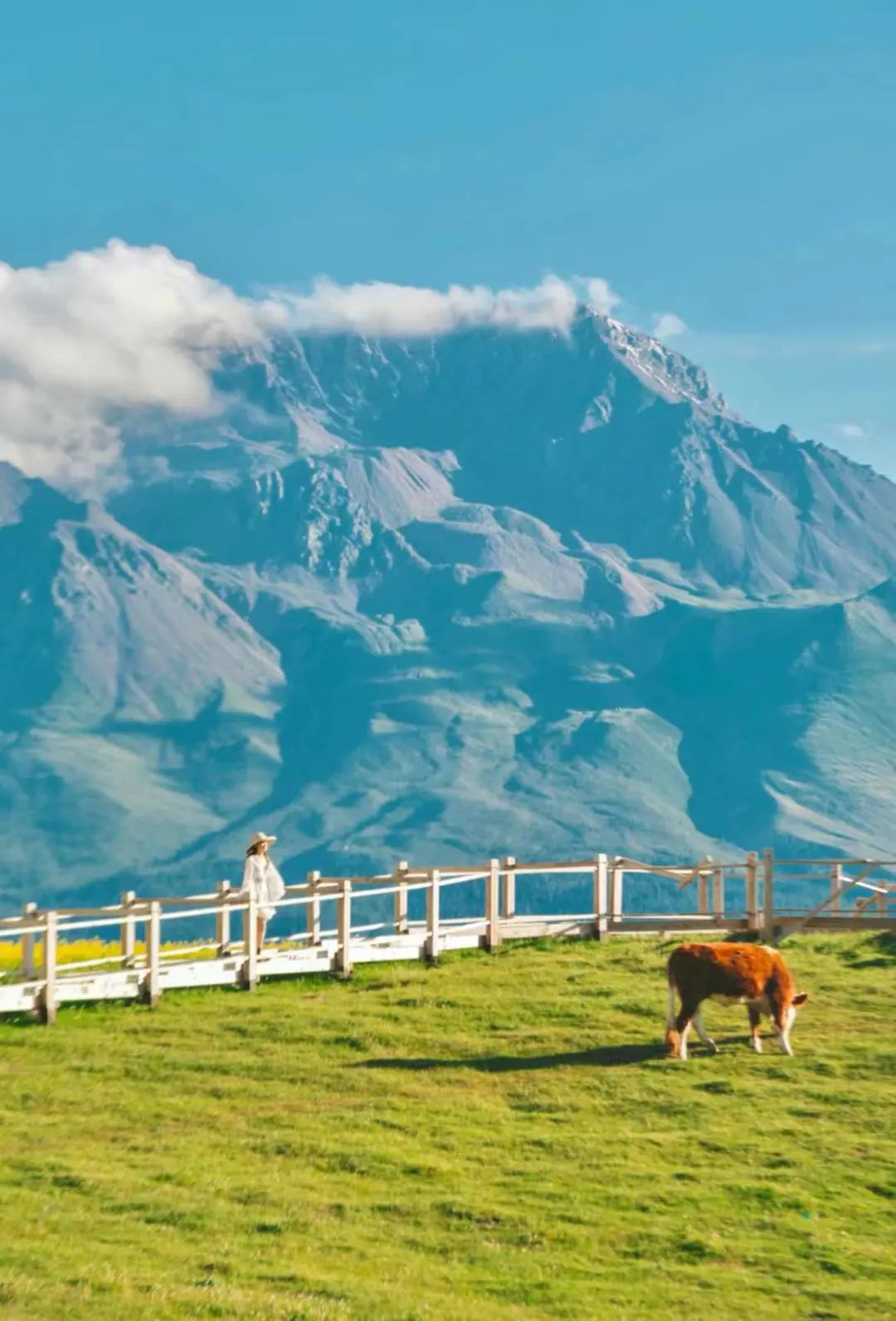 这种神奇又魔幻的地质地貌,还有圣洁的可可西里和高原上的祁连山草原