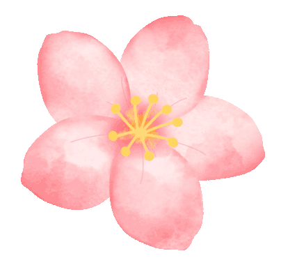 雨法剪影 | 繁花入画来,晒出我们的摄影作品!