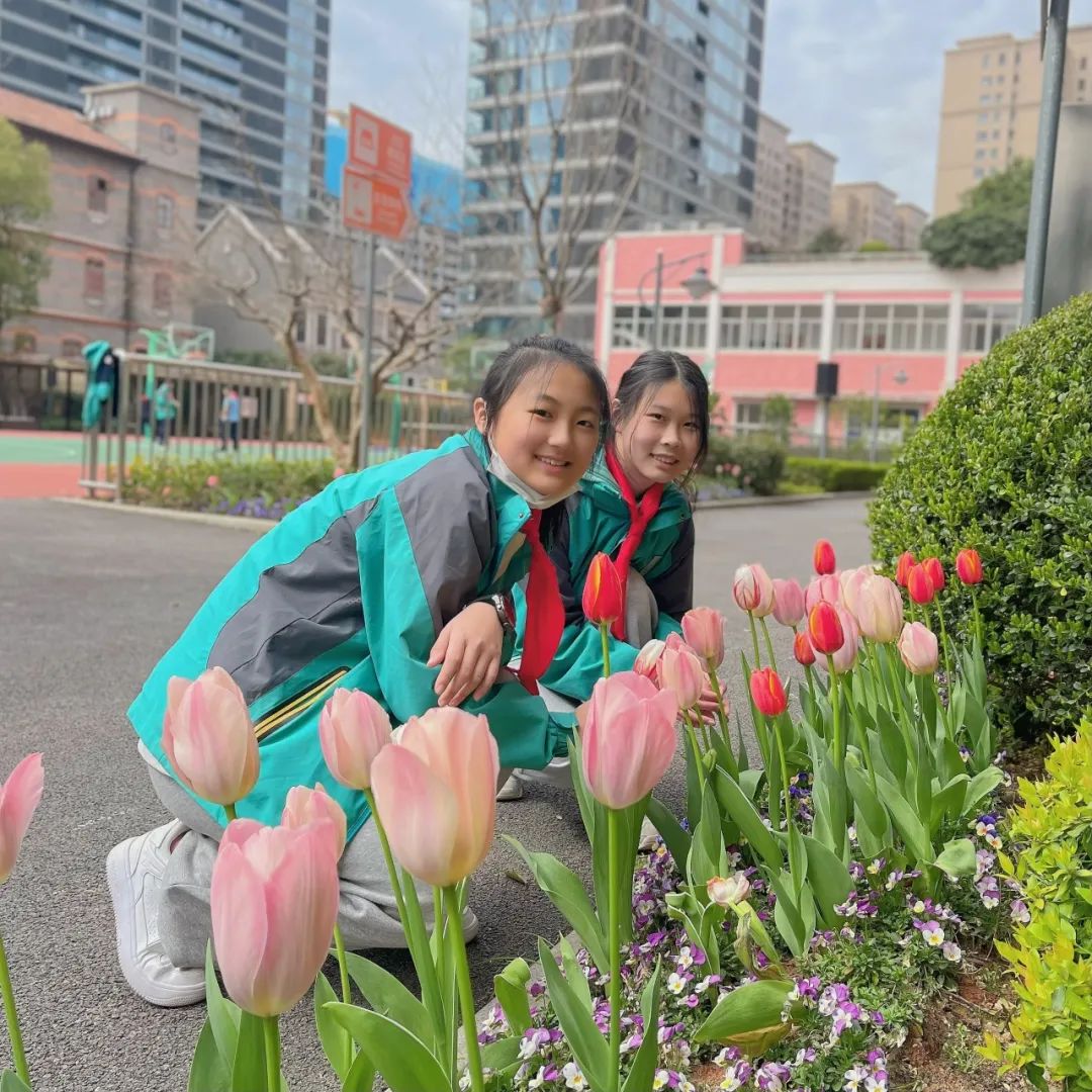 图片来源大同中学上海外国语大学附属大境中学五爱高级中学光明中学市