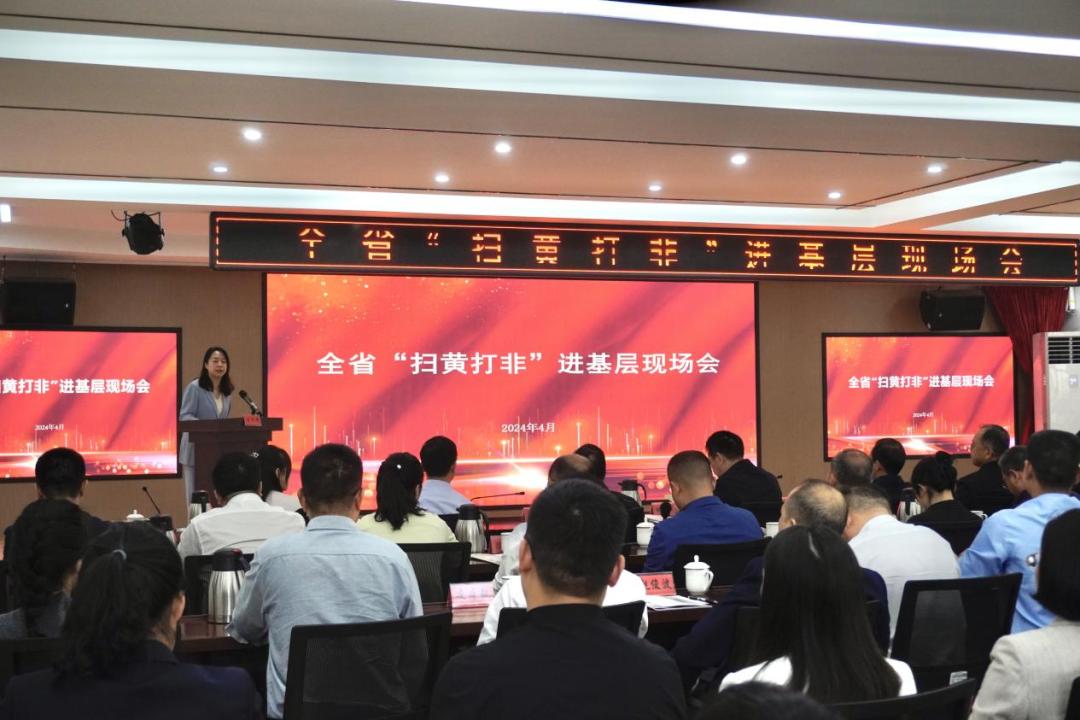 全省"扫黄打非"进基层现场会在南昌市西湖区举行