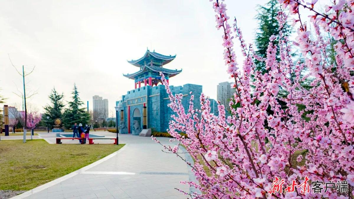 庆阳东湖公园平面图图片