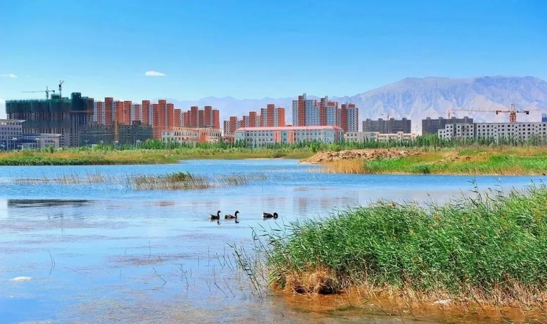 格尔木市创新联动机制构建生态环保新格局