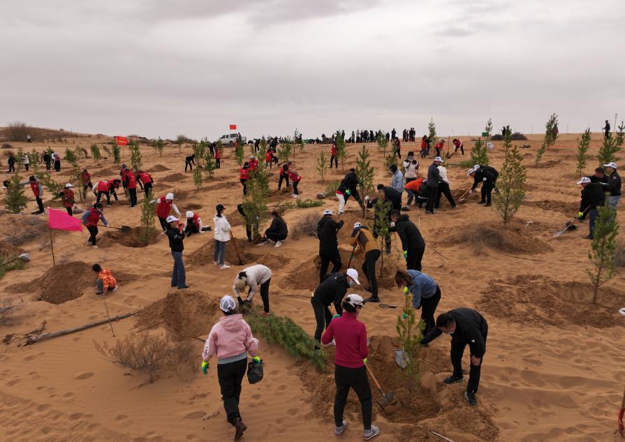 鄂托克旗掀起全民防沙治沙热潮_澎湃号·政务_澎湃新闻-the paper
