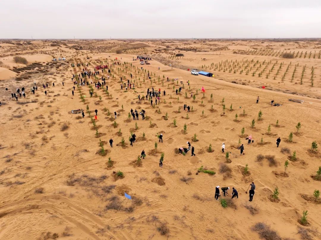 鄂托克旗掀起全民防沙治沙热潮_澎湃号·政务_澎湃新闻-the paper
