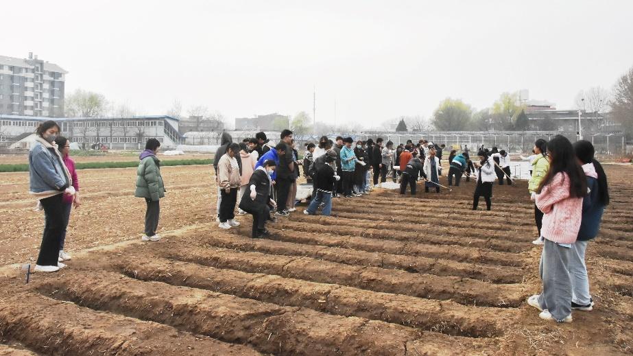 不同地区的自然条件,社会经济状况,生产技术水平以及作物种类都会影响