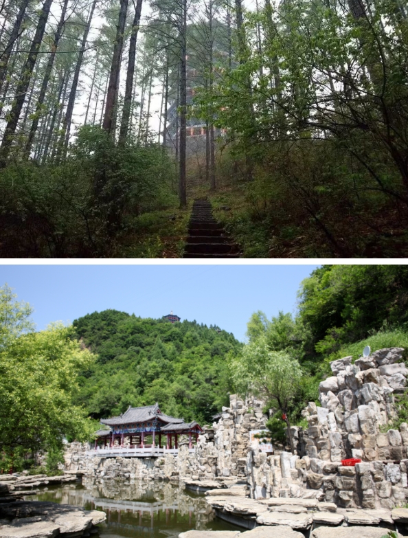 畅游白山,清明踏青指南_澎湃号·政务_澎湃新闻-the paper