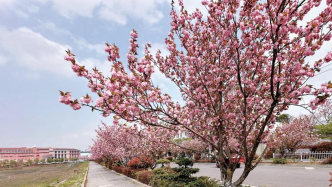 一场与自然的浪漫约会 | 铜仁高新区春季赏花游玩攻略