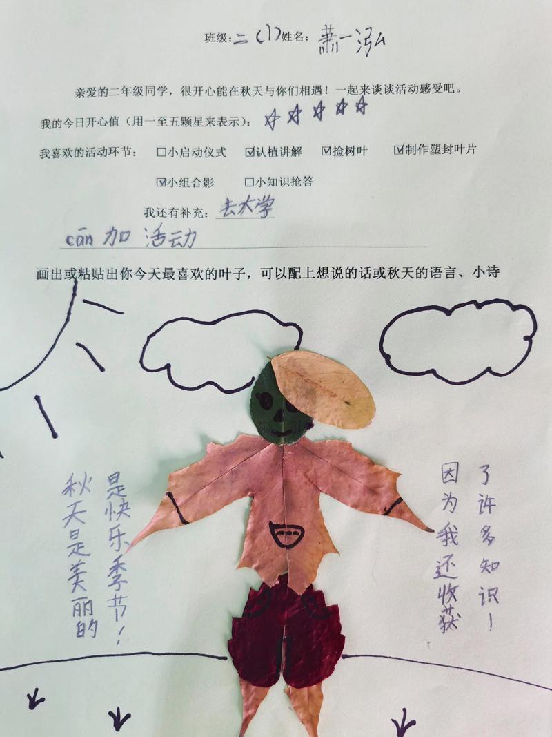 贯通,协同,联动:小学生态文明教育的创新实践_澎湃号