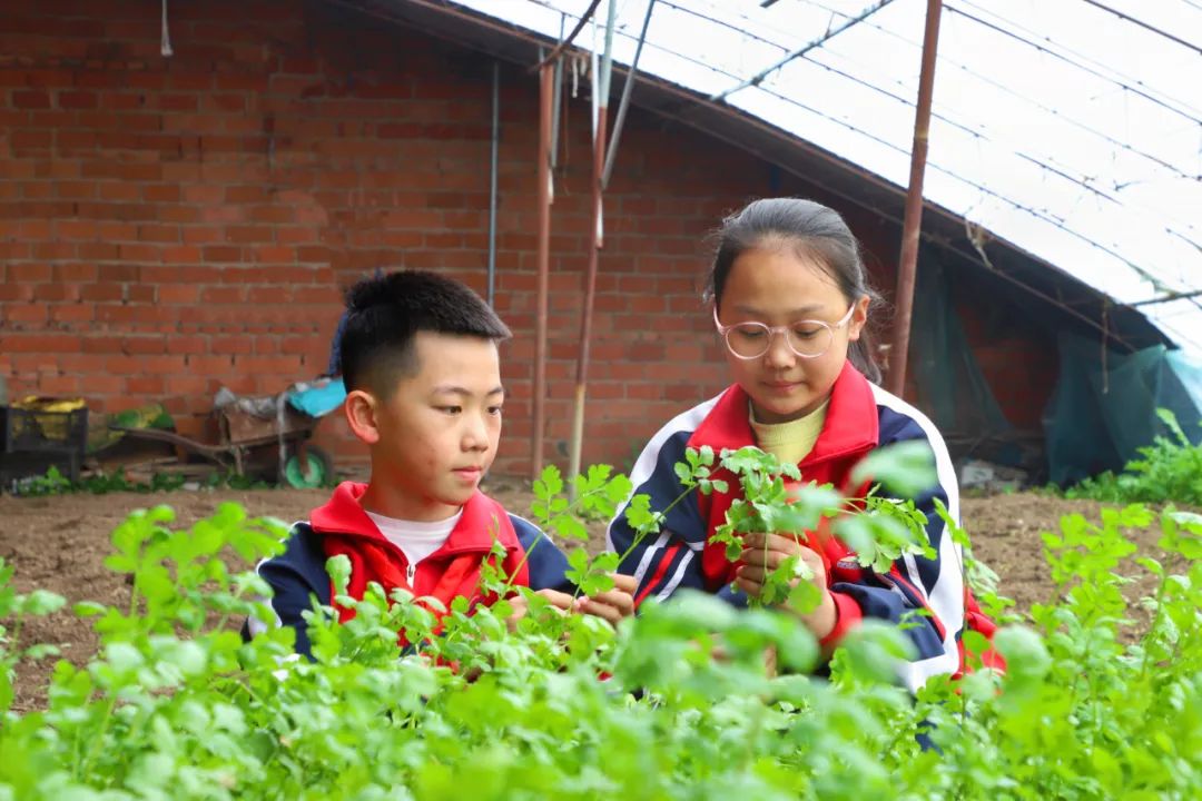 "学田乡中心小学学生孙珊珊说.