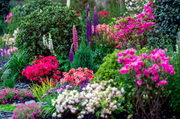 《客至》主题花境,还有以多品种的杜鹃及红枫搭配常绿鸢尾,芝樱等植物