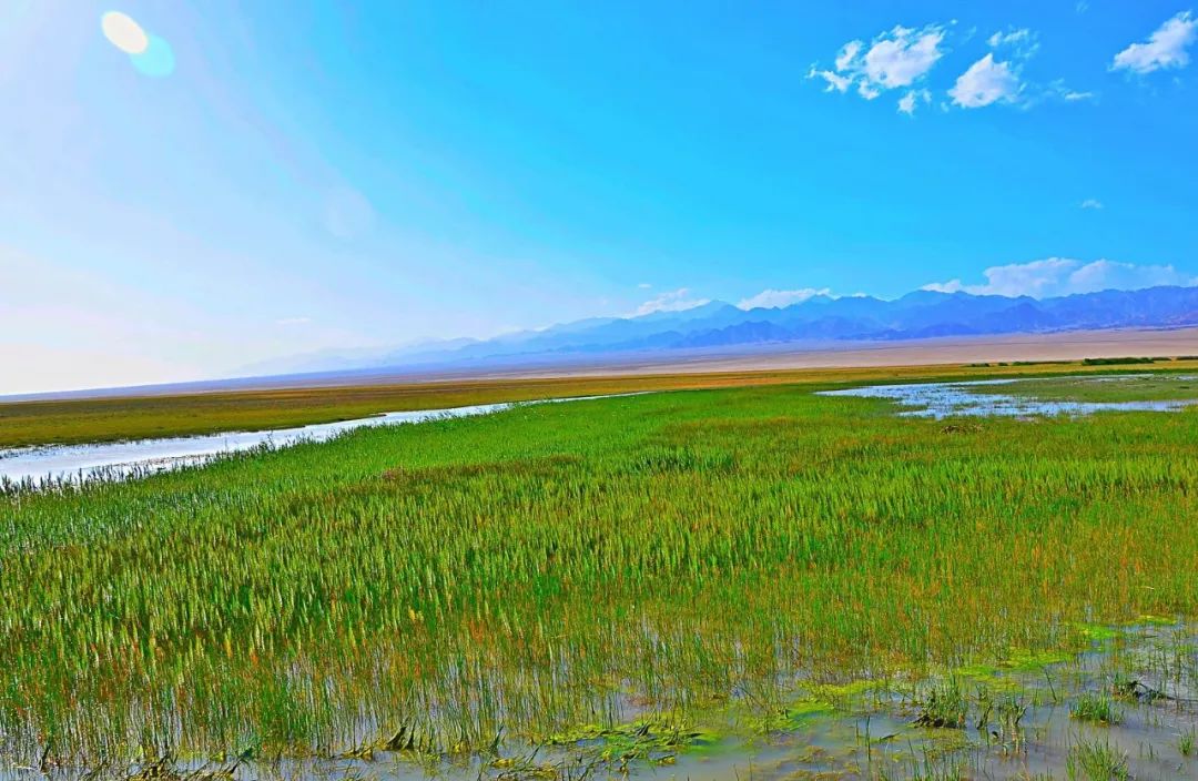 阿克塞最炫民族风还能这样玩?_澎湃号·政务_澎湃新闻-the paper