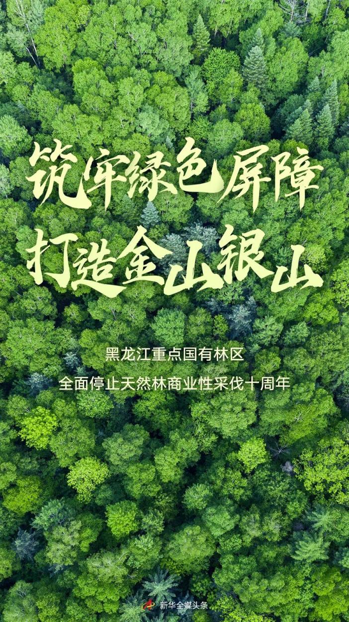 恣意驰骋;品类丰富的蓝莓,白桦树汁等林下产品加工车间忙得热火朝天