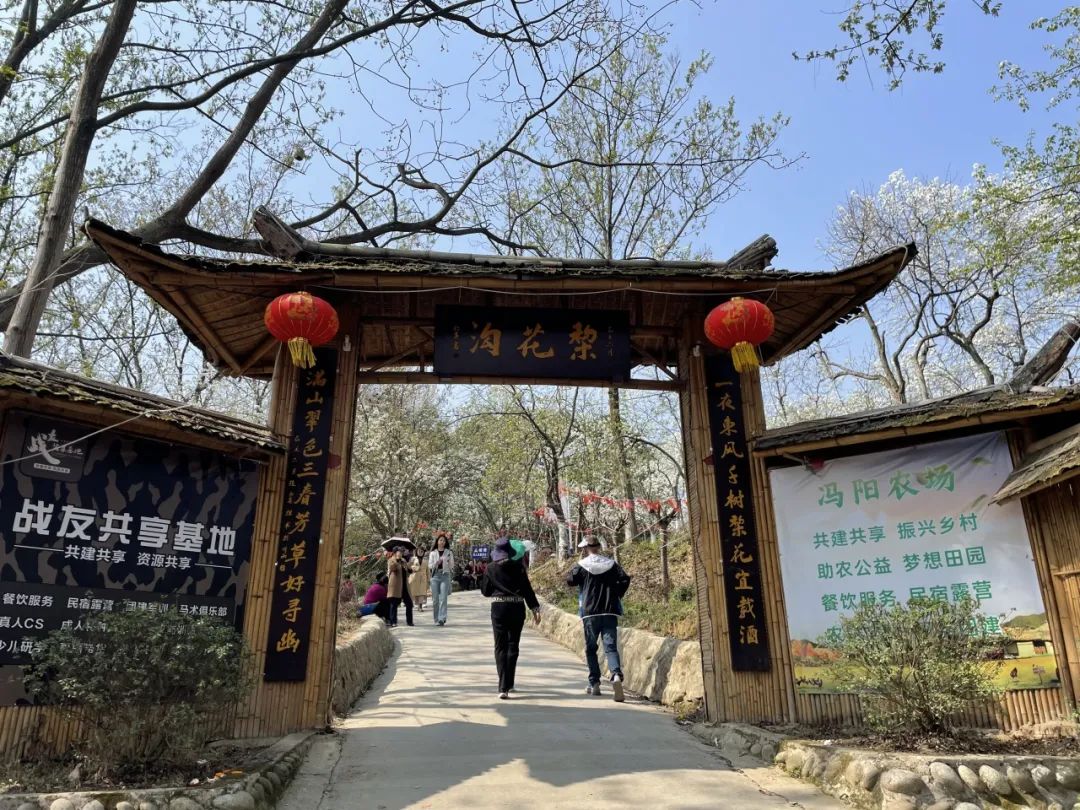 4月10日前来平乐村梨花沟"梨花艺术节"在梨花下品尝各色美食更有露天