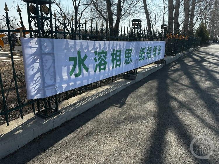 生态葬,让生命回归自然_澎湃号·媒体_澎湃新闻-the paper