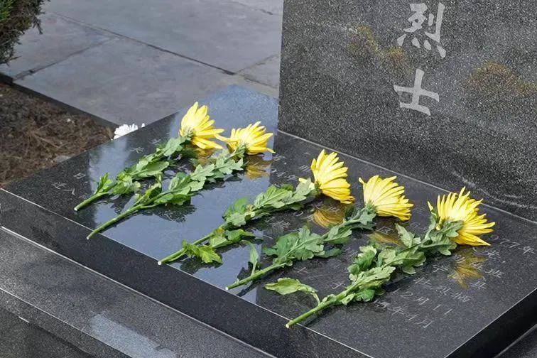 今日,缅怀先烈为他们献上一束花