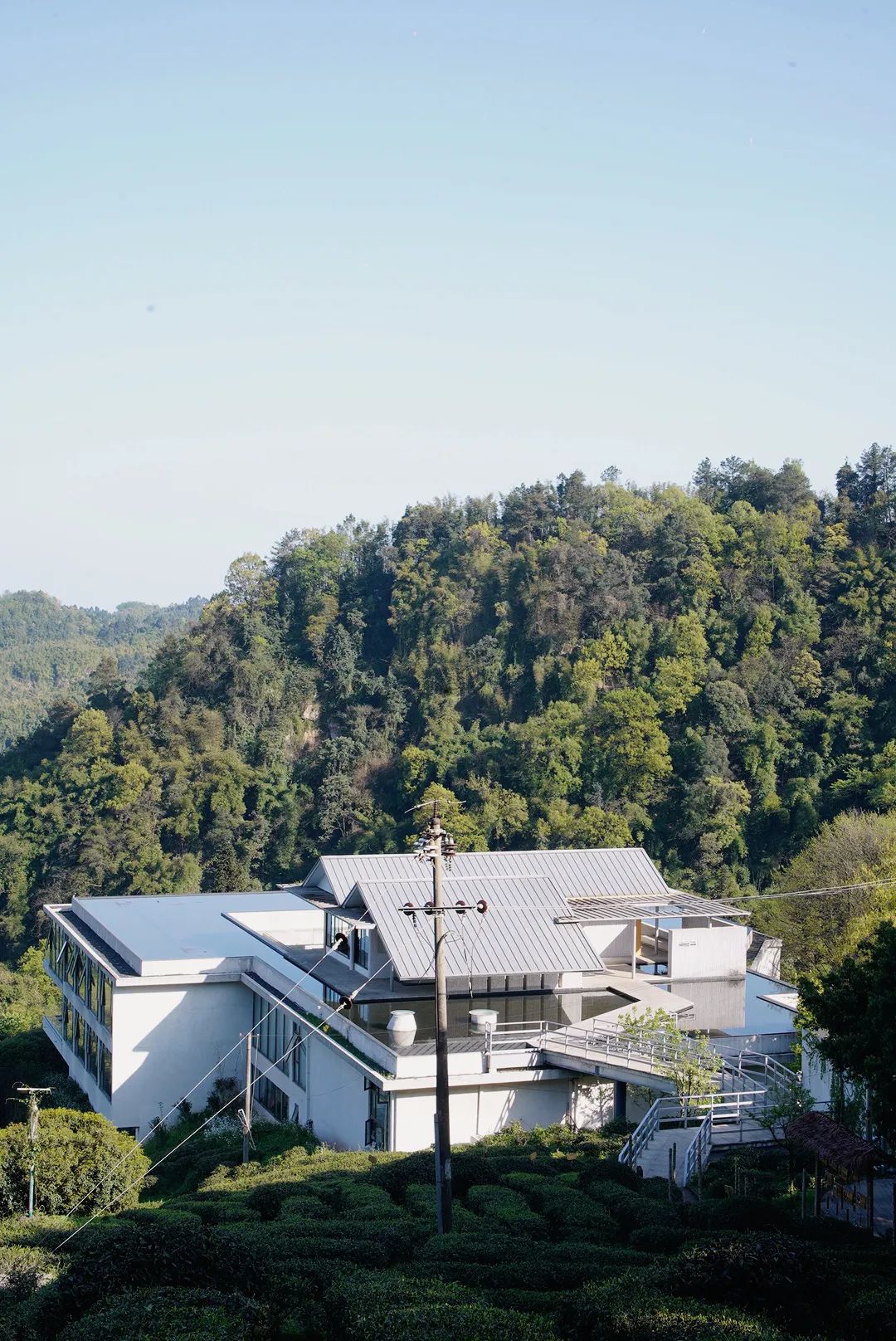 邛崃花楸山不下山一日游,去过算我输_澎湃号·湃客_澎湃新闻-the