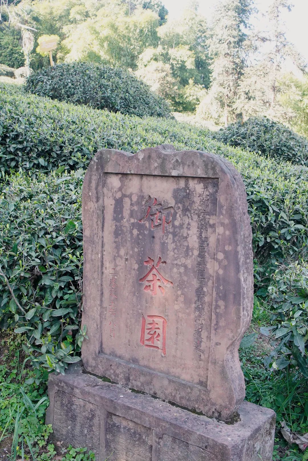 邛崃花楸山不下山一日游,去过算我输_澎湃号·湃客_澎湃新闻-the