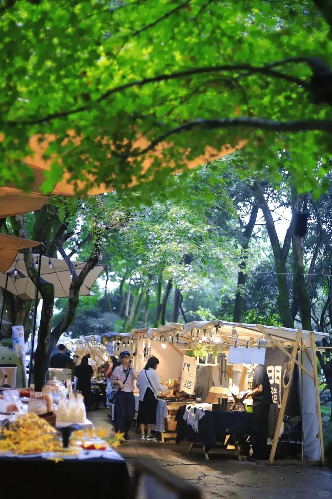 澎湃号·政务_澎湃新闻-the paper