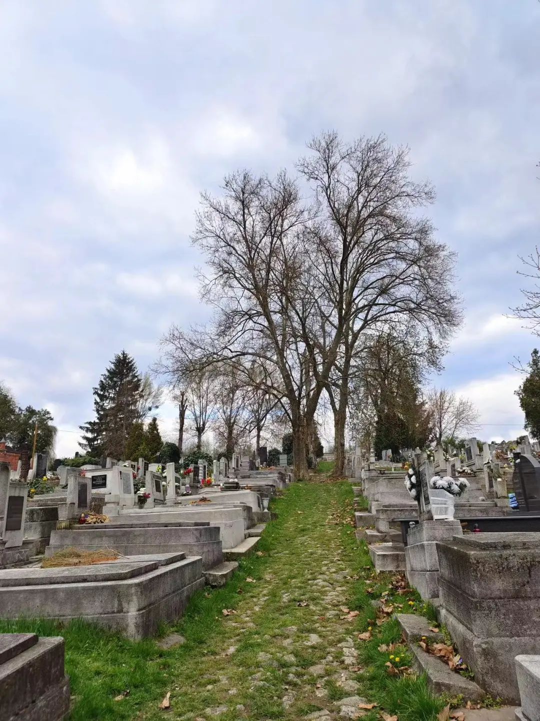 那些我曾偶遇的墓地