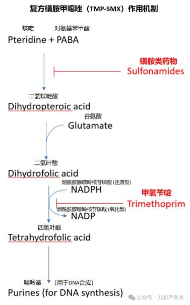 托法替布药理机制图片