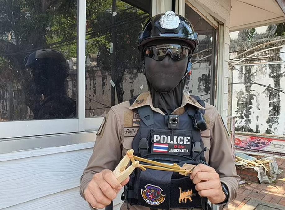 抓捕猴子的警察特种部队 资料图当地动物保护局负责人克鲁塔卡表示