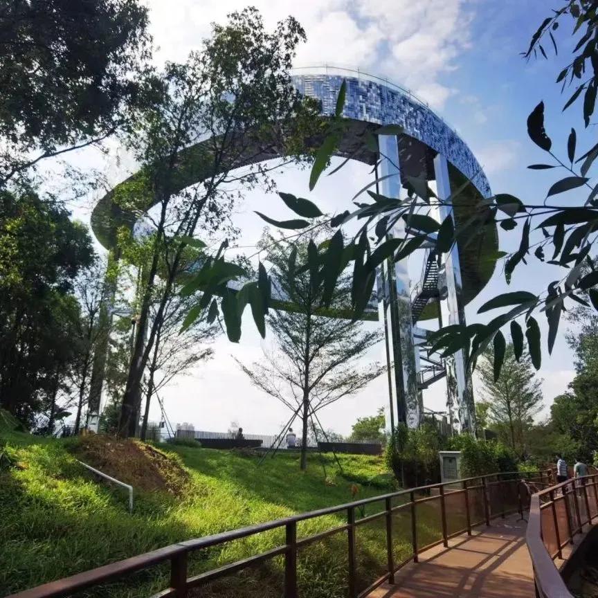位于龙岗区的大岭鼓公园,风景优美绿意葱葱,一座"天空之盾"观景廊桥