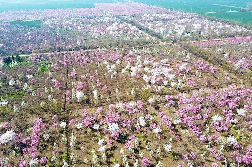 今天15时02分,邳州正式进入……_澎湃号·政务_澎湃