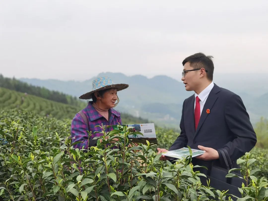 了解企业与茶农之间的用工模式,同时就劳动用工,安全生产以及知识产权