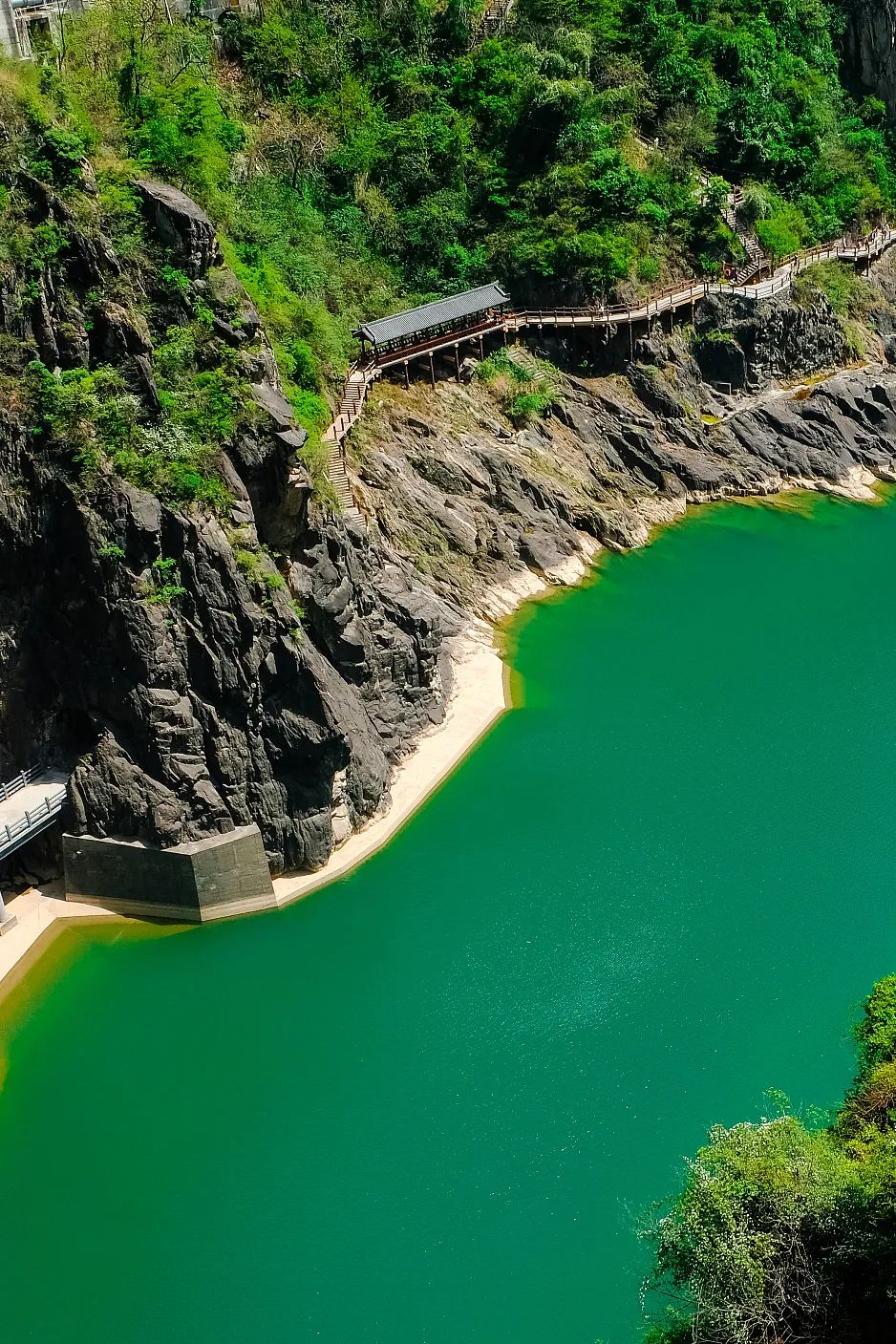 西北人去哪过春天?这个"最北的南方"赢麻了