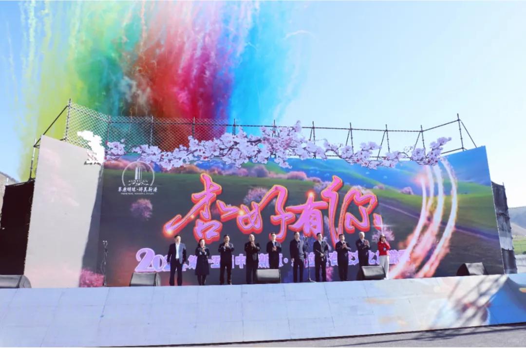 伊犁河谷的杏花,开了_澎湃号·媒体_澎湃新闻-the paper