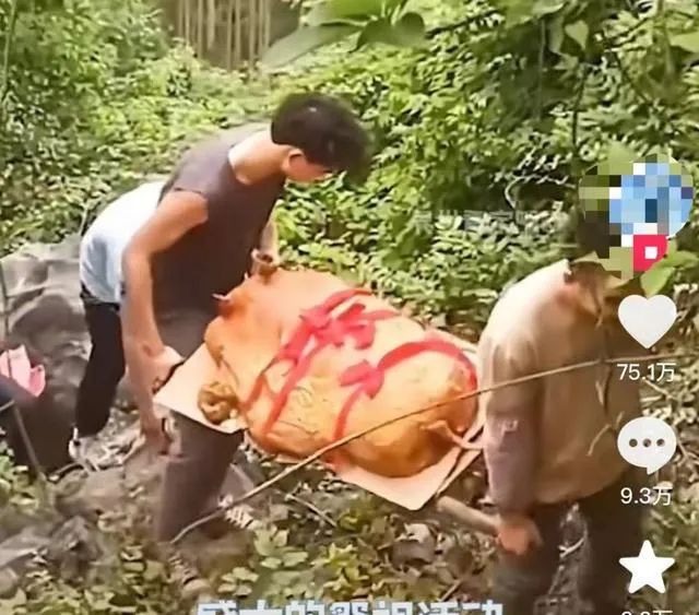 “华南F3”拜山有多拼？网友：一年一度的考验