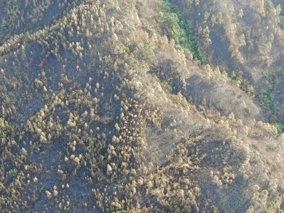 “华南F3”拜山有多拼？网友：一年一度的考验