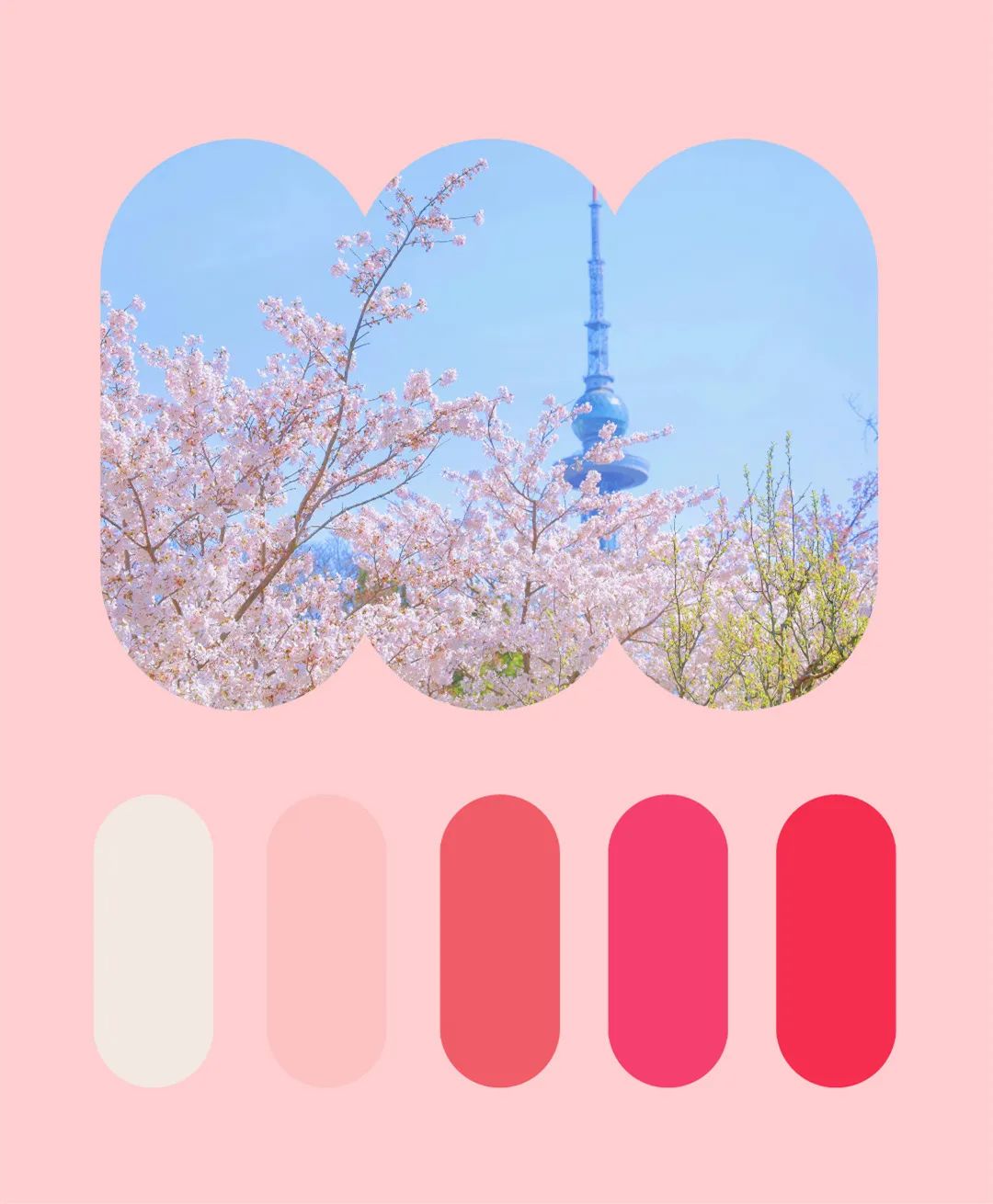 用色卡的方式打开春日里的山东