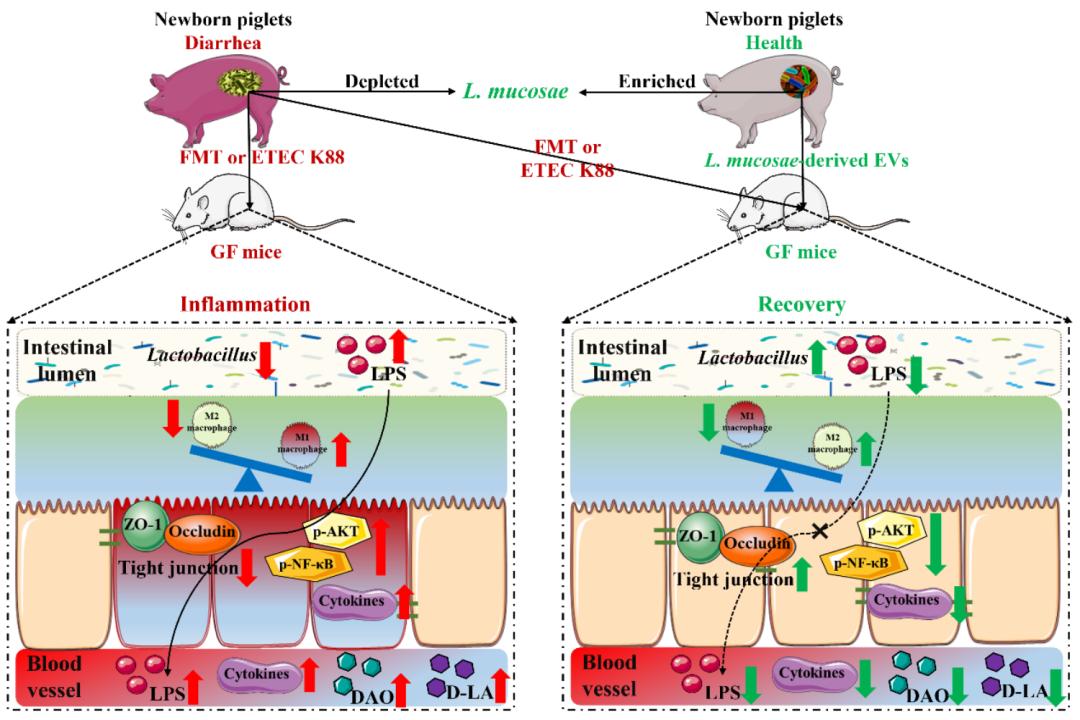 华中农大近期科学研究进展