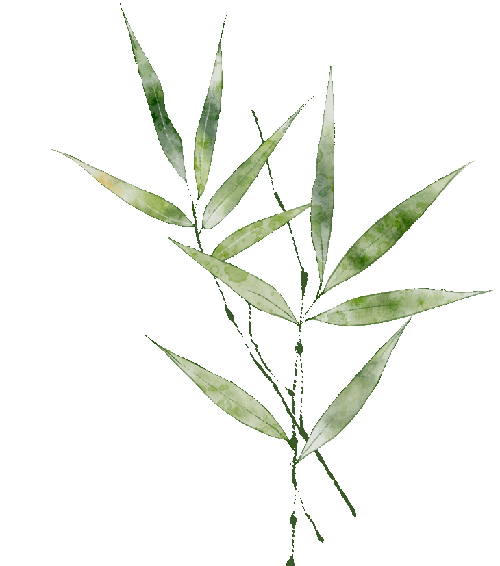 山桃花的特征是花贴着梗长在树枝上,也就是说几乎看不到什么花梗.