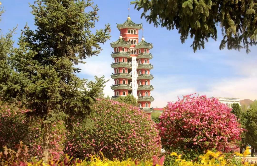 这里还藏着世界上最后一座大漠"龟城",这座400多年的老城堡,曾是一座